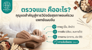 ตรวจแมะ คืออะไร แพทย์แผนจีน สายไหม
